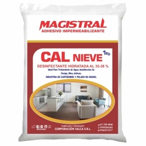 CAL NIEVE (MAGISTRAL) 1 KL